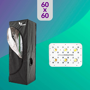 Pack Led Indoor 60X60 Apollo Evolution 6 - 180W