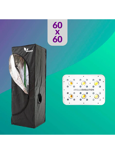 Pack Led Indoor 60X60 Apollo Evolution 6 - 180W 1