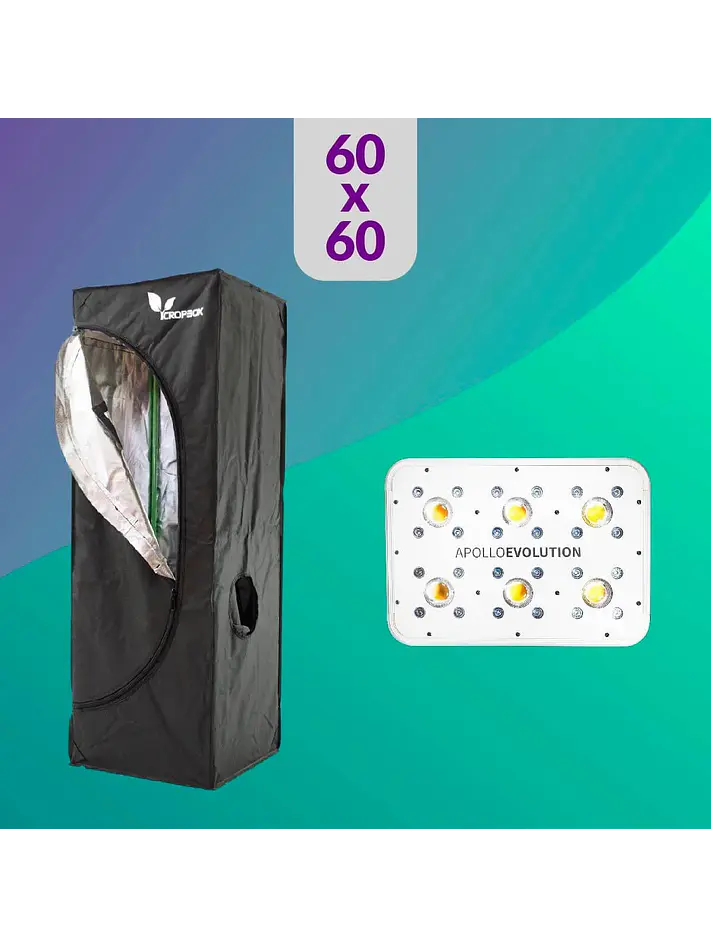 Pack Led Indoor 60X60 Apollo Evolution 6 - 180W 1