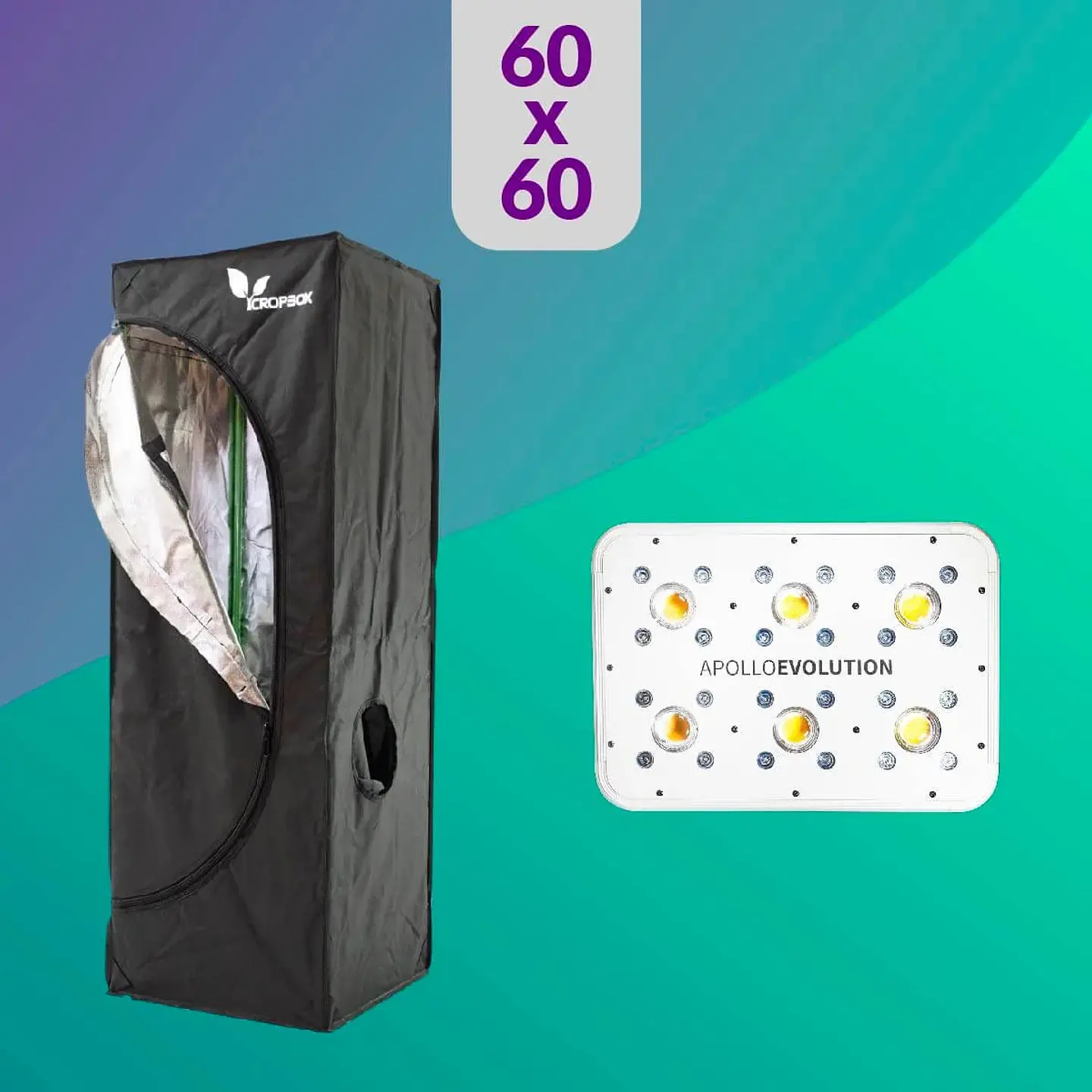 Pack Led Indoor 60X60 Apollo Evolution 6 - 180W 1