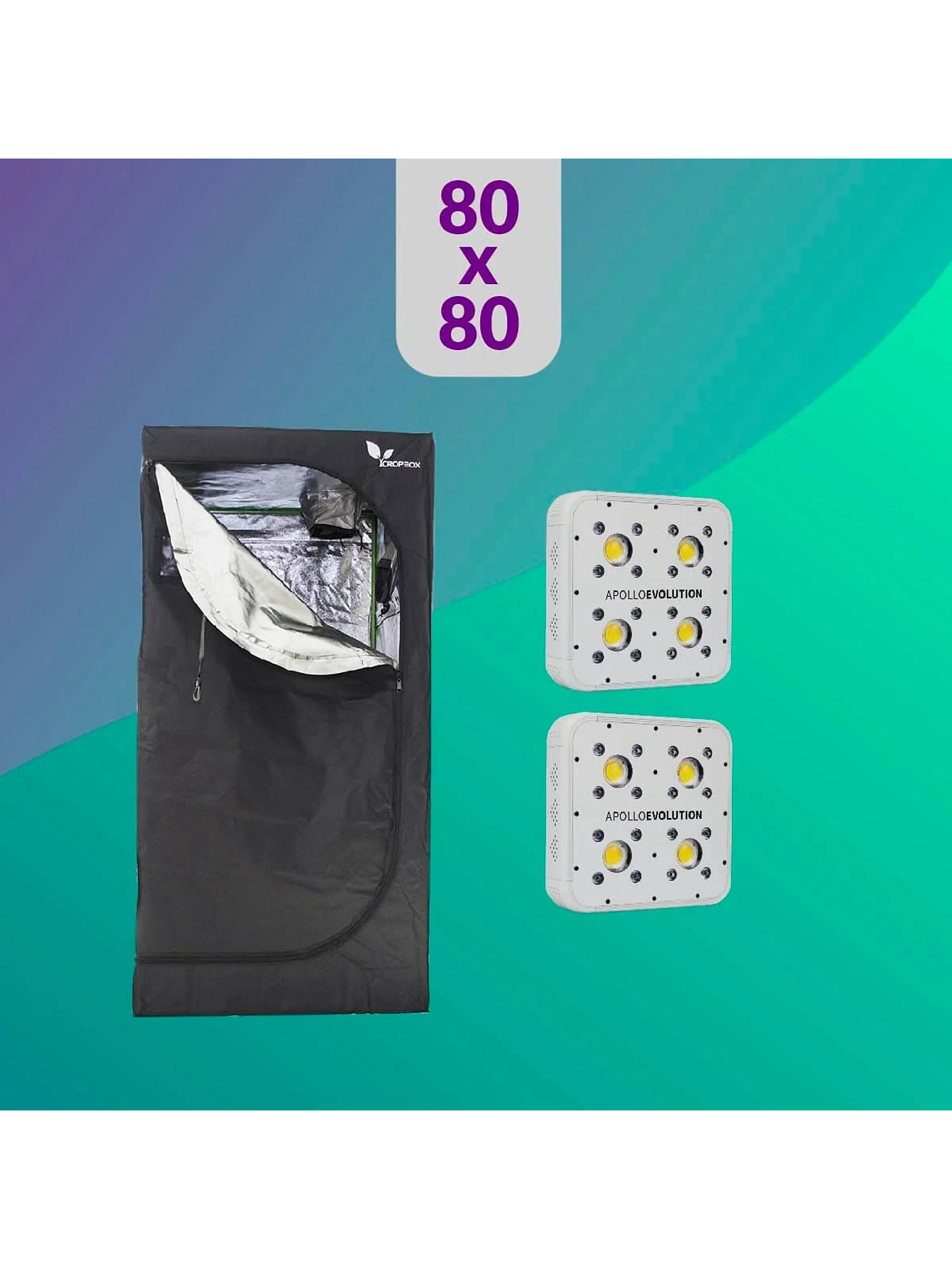 Pack Led Indoor 80X80 Duo  Apollo Evolution 4 1