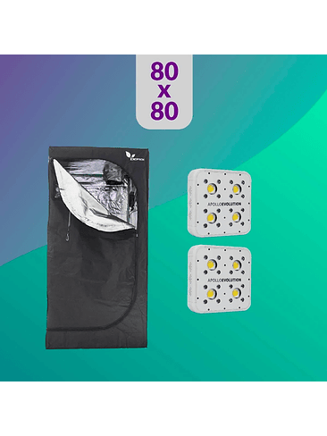 PACK LED INDOOR 80X80 DUO  APOLLO EVOLUTION 4 1