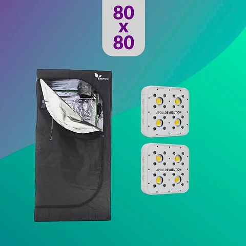 Pack Led Indoor 80X80 Duo  Apollo Evolution 4