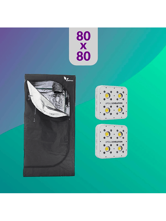 PACK LED INDOOR 80X80 DUO  APOLLO EVOLUTION 4 1