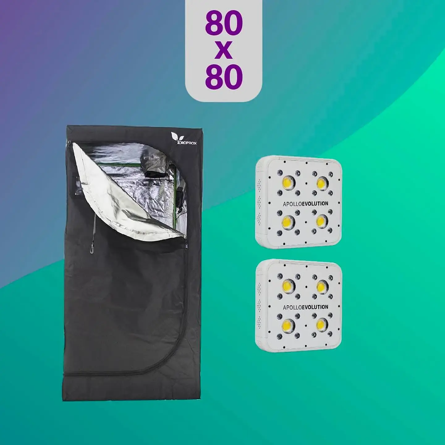 Pack Led Indoor 80X80 Duo  Apollo Evolution 4 1