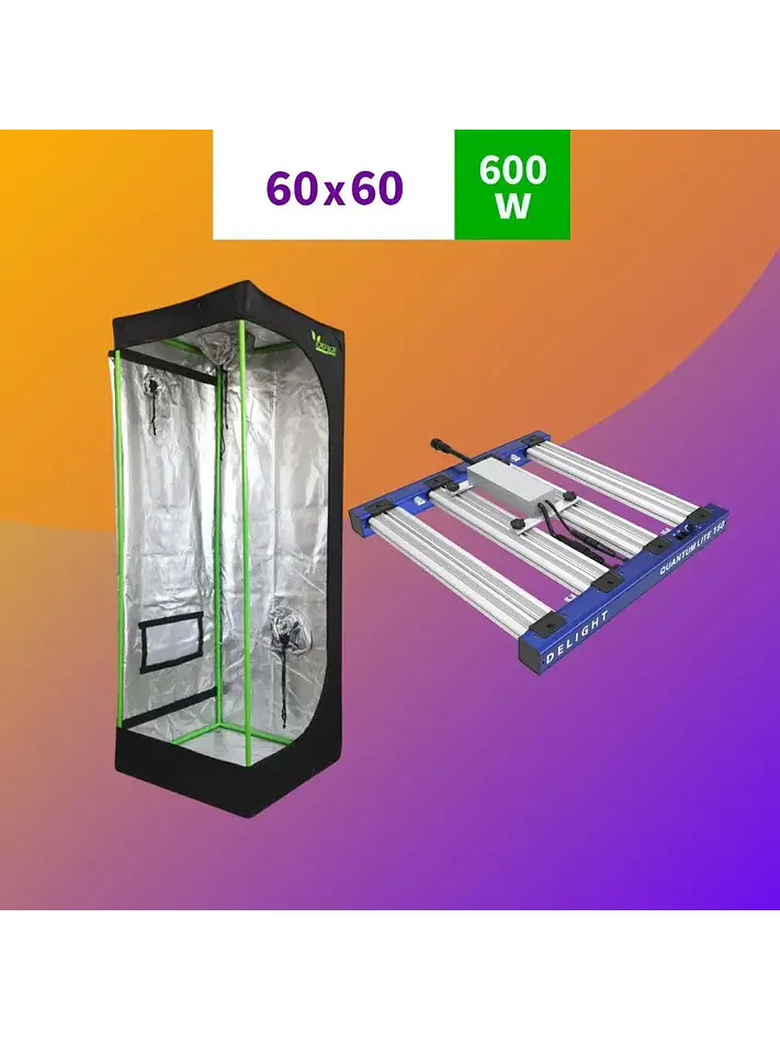 Pack 60X60 Led Quantum Lite 160W 1