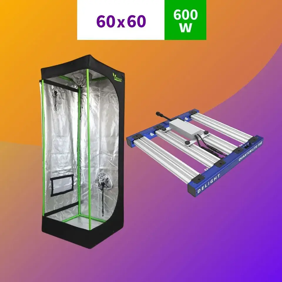 Pack 60X60 Led Quantum Lite 160W 1