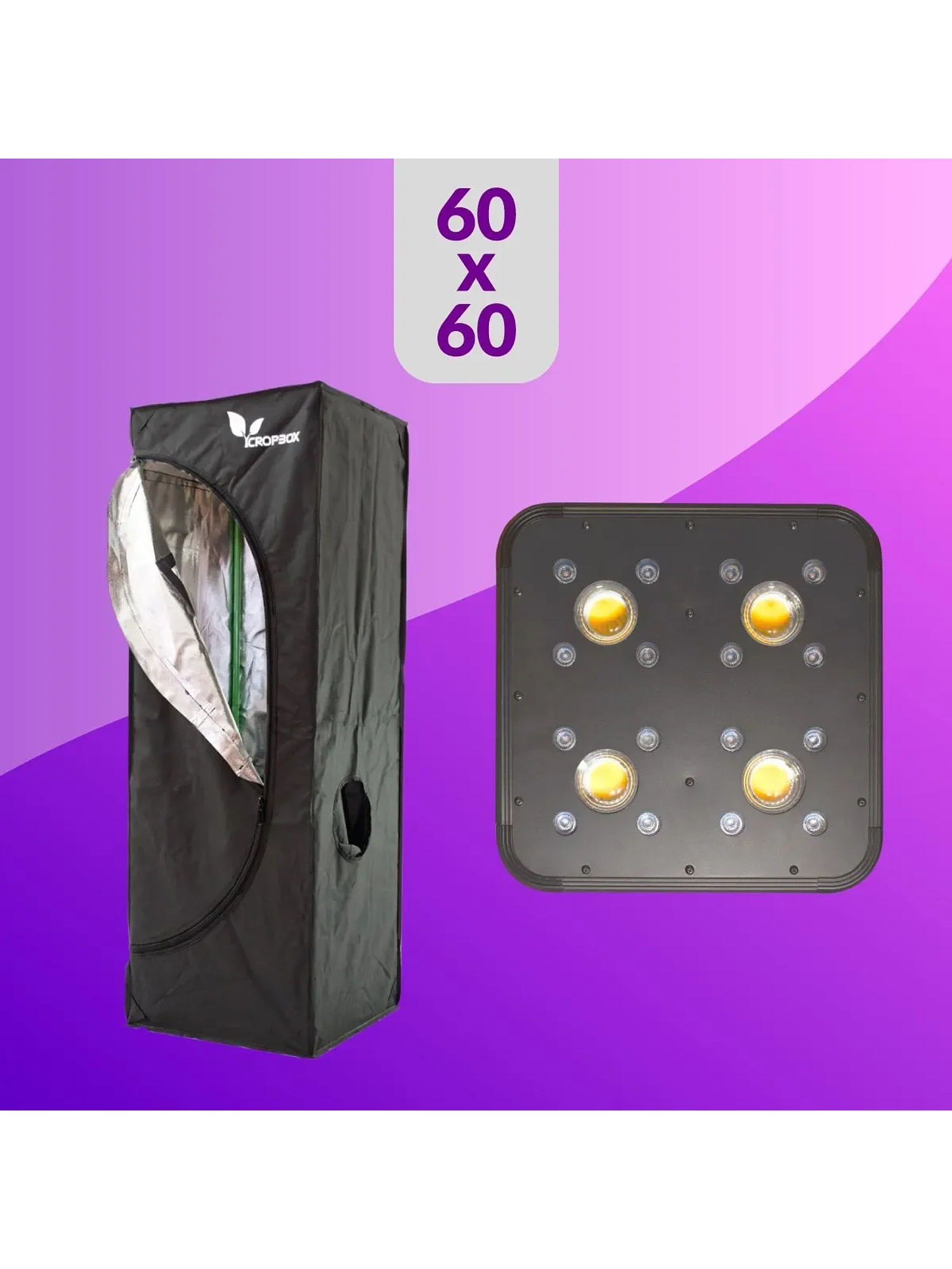 Pack Led Indoor 60X60 Apollo Evolution Pro 4 - 150W Básico 1