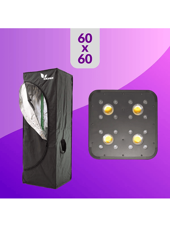 PACK LED INDOOR  60X60 APOLLO EVOLUTION PRO 4 - 150W BÁSICO 1