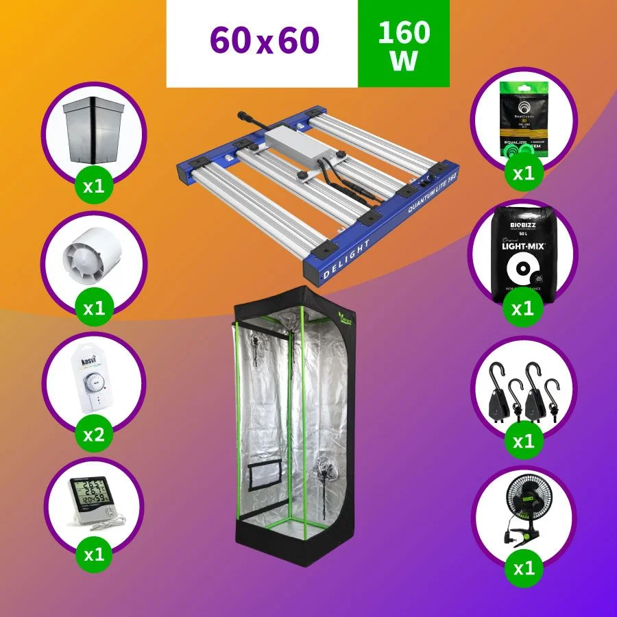 Pack Led Indoor 60X60 Apollo Evolution Pro 4 - 150W Full 1