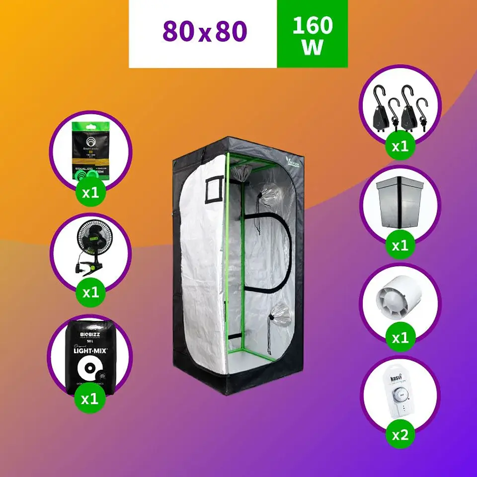 Pack Led Indoor 80X80 Apollo Evolution Pro 9 - 300W Full 1