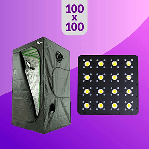 PACK LED INDOOR 100X100 APOLLO EVOLUTION PRO 16 - 480W
