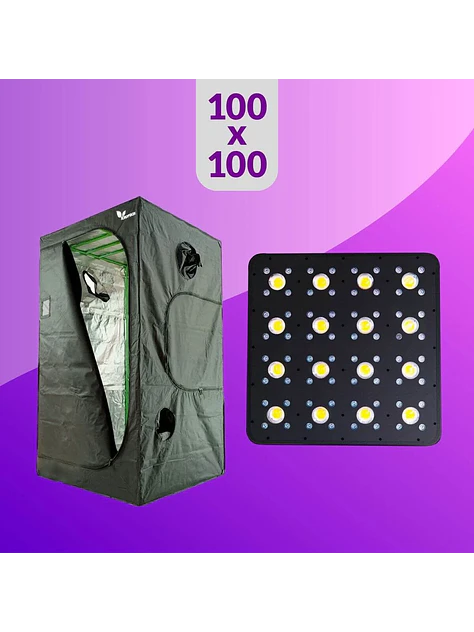 Pack Led Indoor 100X100 Apollo Evolution Pro 16 - 480W 1