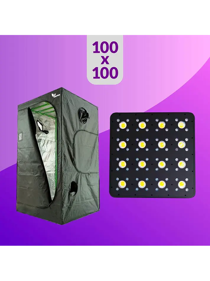 Pack Led Indoor 100X100 Apollo Evolution Pro 16 - 480W 1