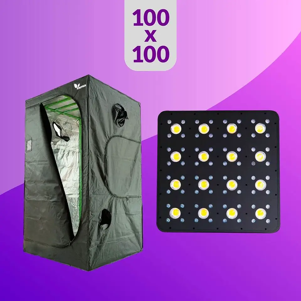 Pack Led Indoor 100X100 Apollo Evolution Pro 16 - 480W 1