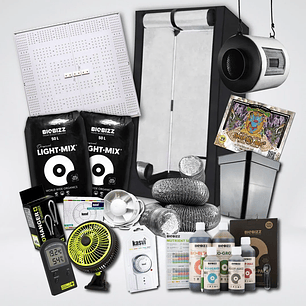 KIT QUANTUM BASIC 5 ECO 100X100X200