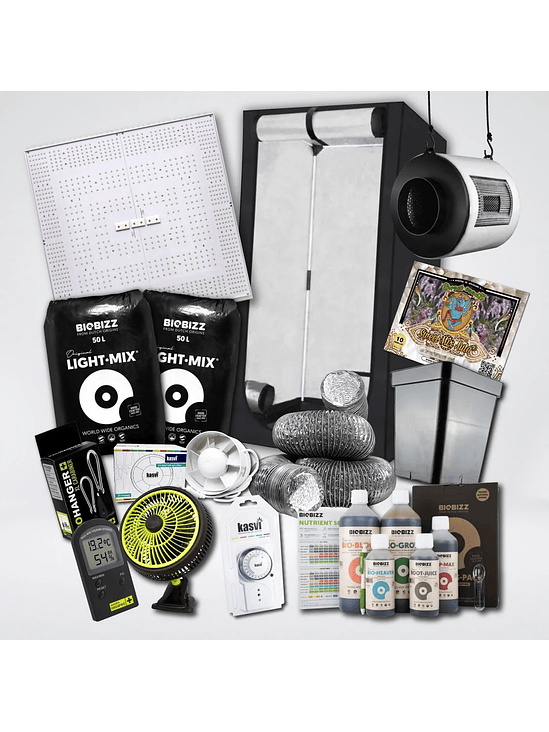 KIT QUANTUM BASIC 5 ECO 100X100X200 1