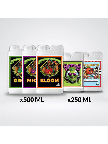 * TOTAL PACK AN11 ENGORDE 1