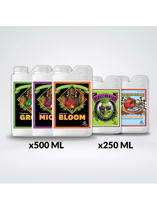 * TOTAL PACK AN11 ENGORDE 1