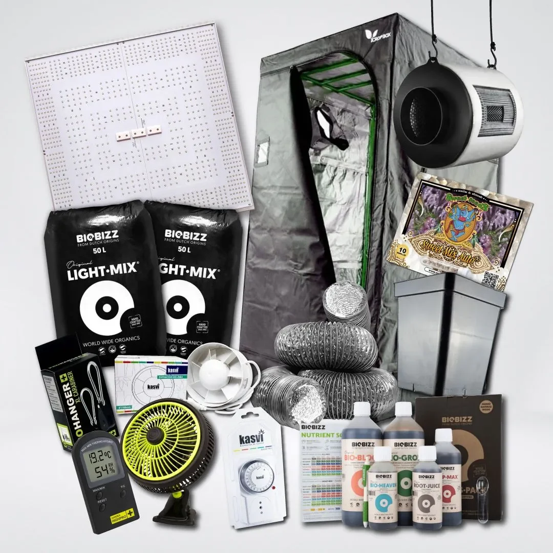 Kit Quantum 320 Medio 3 Light 100X100 1