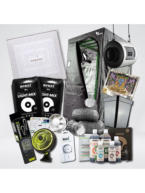 Kit Quantum 320 Medio 3 Light 100X100 1