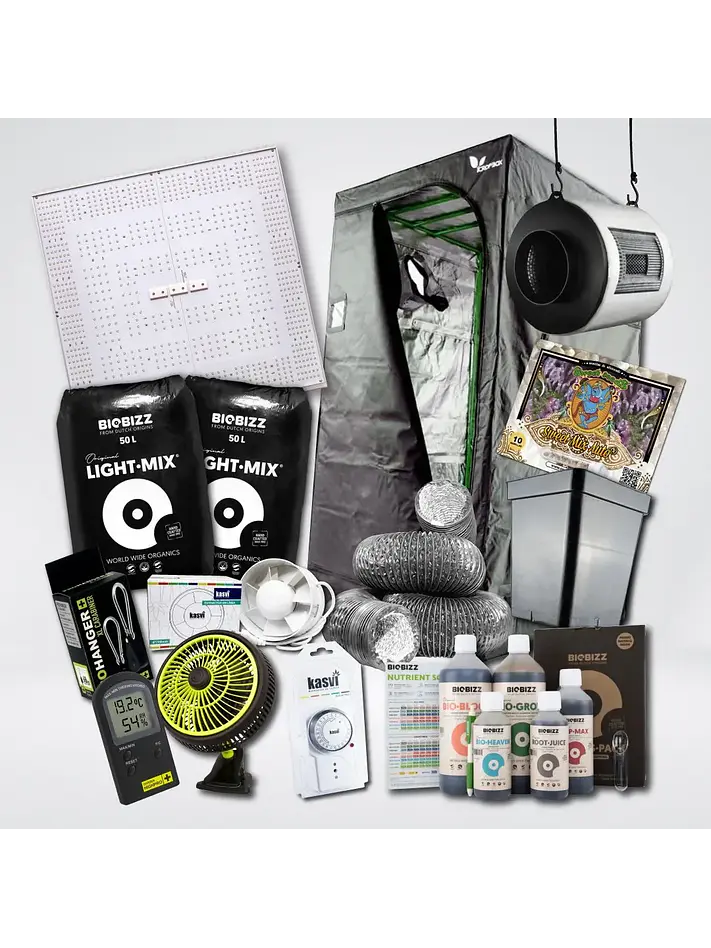 Kit Quantum 320 Medio 3 Light 100X100 1