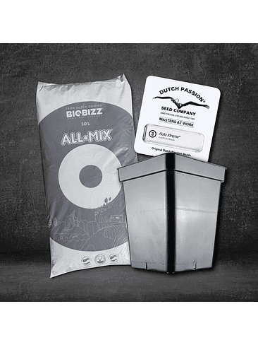 KIT INICIAL CULTIVO AUTO 1