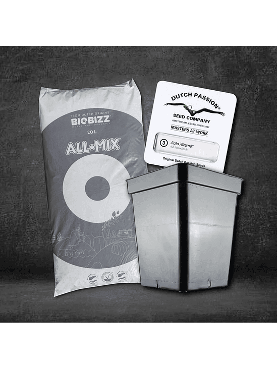 KIT INICIAL CULTIVO AUTO 1