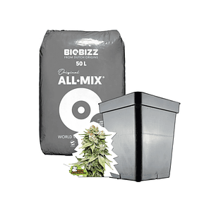 KIT MEDIO ALL MIX AUTO