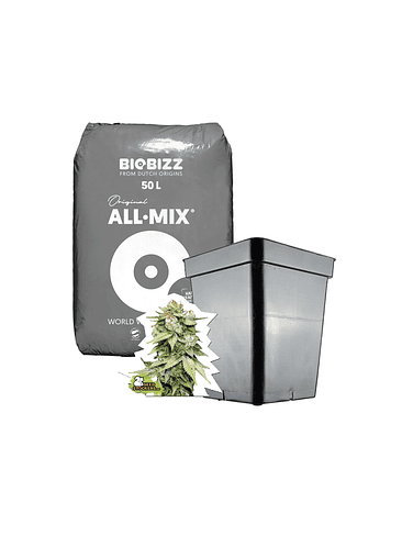 KIT MEDIO ALL MIX AUTO 1