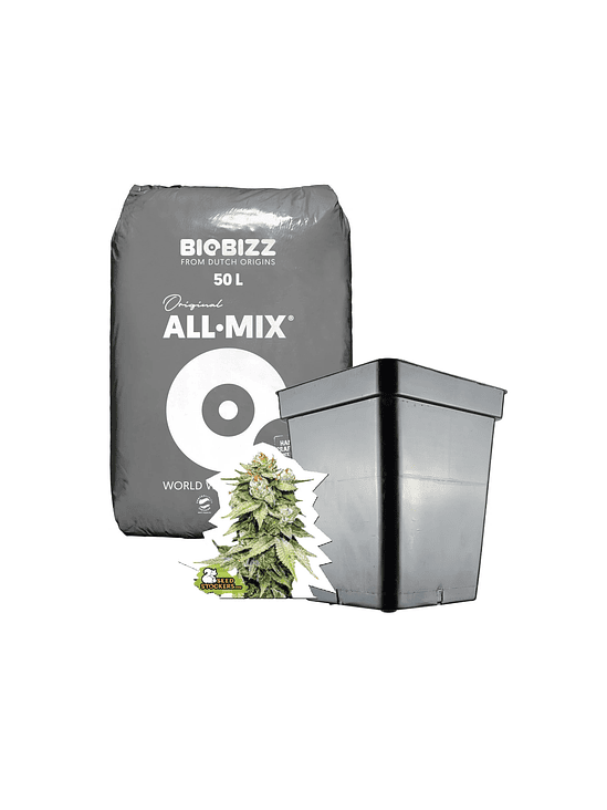 KIT MEDIO ALL MIX AUTO 1