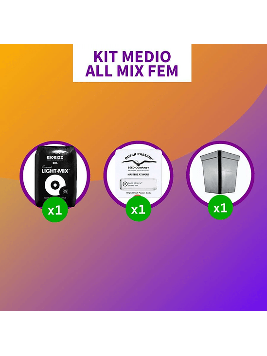 KIT MEDIO ALL MIX FEM 1