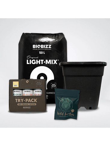 KIT MEDIO LIGHT MIX FEM 1