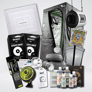 Kit Quantum 320 Medio 2 Light 100X100