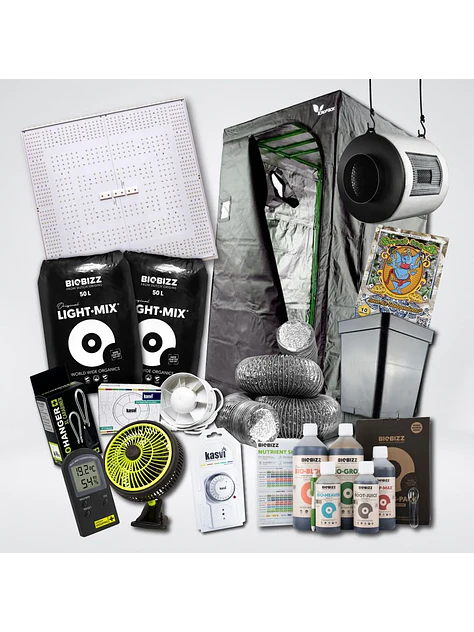 Kit Quantum 320 Medio 2 Light 100X100 1