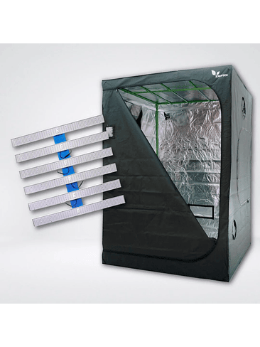 KIT QUANTUM L520 LIGHT 120X120 1