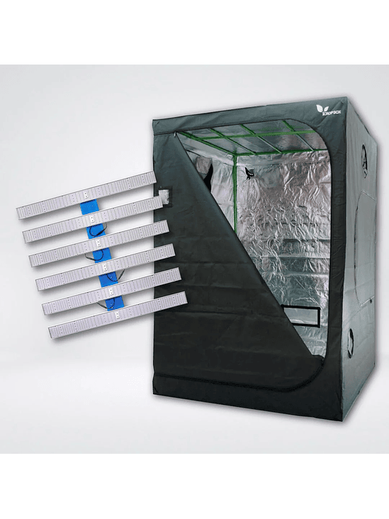 KIT QUANTUM L520 LIGHT 120X120 1