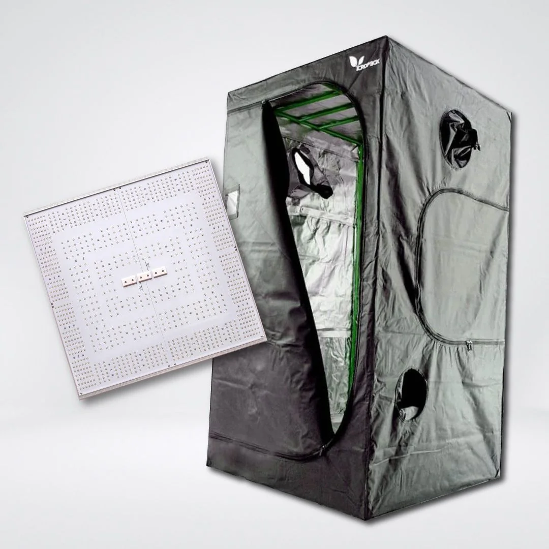 Kit Quantum C320 Light 100X100 1