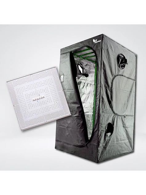 Kit Quantum C320 Light 100X100 1