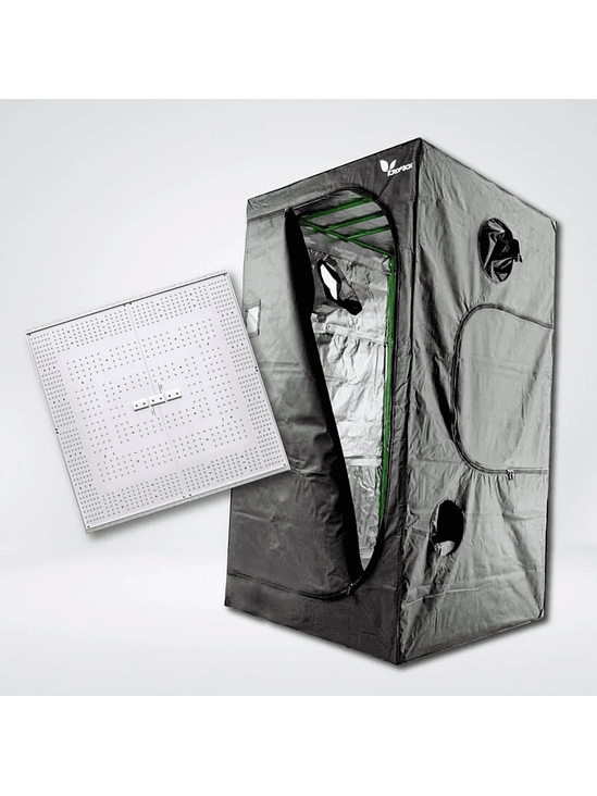 KIT QUANTUM C320 LIGHT 100X100 1