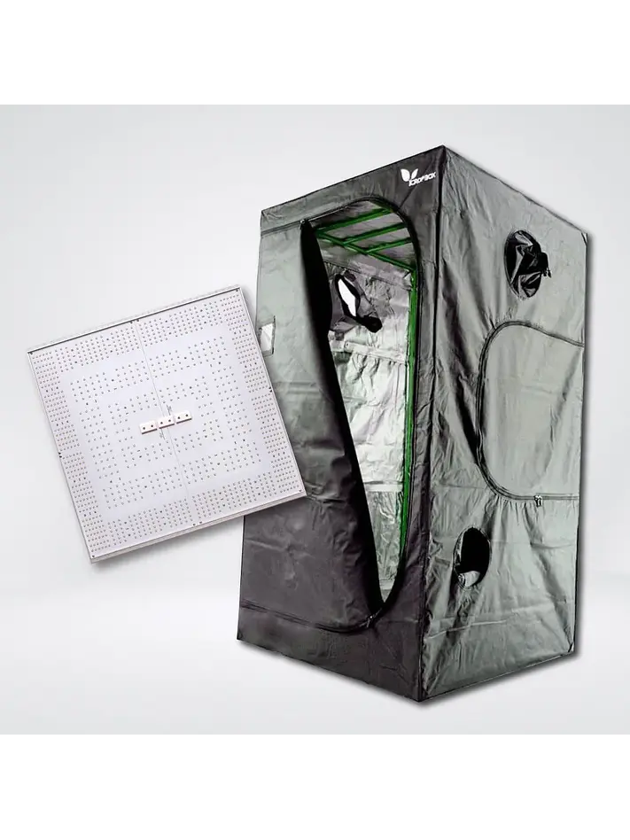 Kit Quantum C320 Light 100X100 1