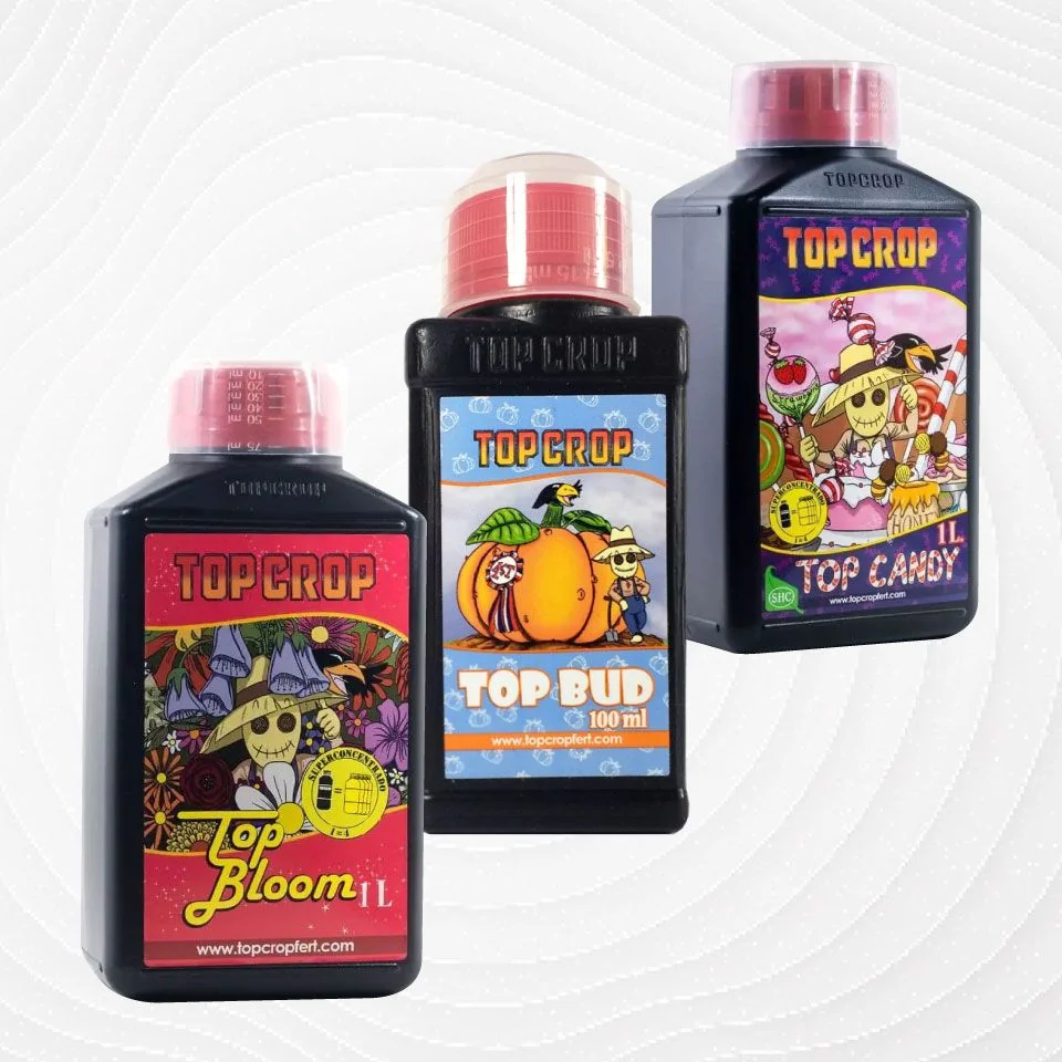 Pack 1Lt-Top Crop 1