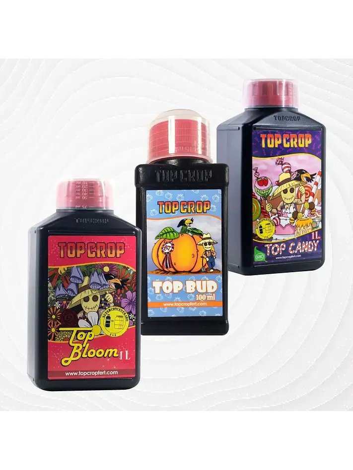 Pack 1Lt-Top Crop 1