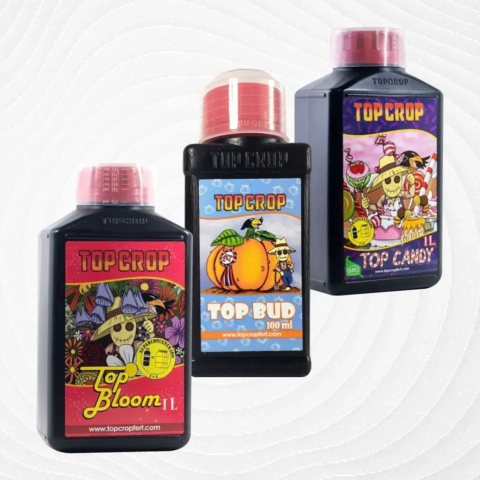 Pack 1Lt-Top Crop 1