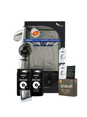 KIT COMPLETO QUANTUM LITE DELIGHT 80- 240W FÁCIL ARMADO 2