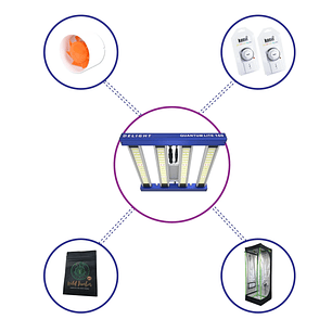 KIT STARTER QUANTUM LITE DELIGHT 60- 160W FÁCIL ARMADO