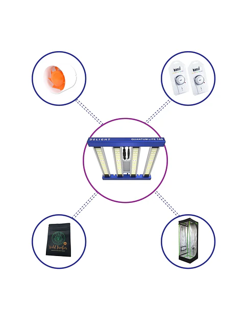 Kit Starter Quantum Lite Delight 60- 160W Fácil Armado 2
