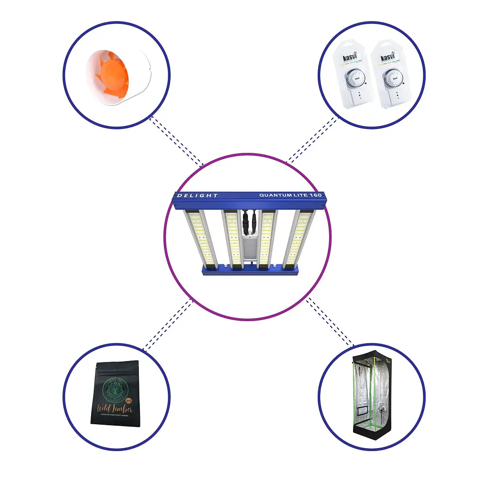 Kit Starter Quantum Lite Delight 60- 160W Fácil Armado 2