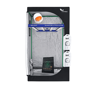 KIT STARTER QUANTUM LITE DELIGHT 80- 240W FÁCIL ARMADO