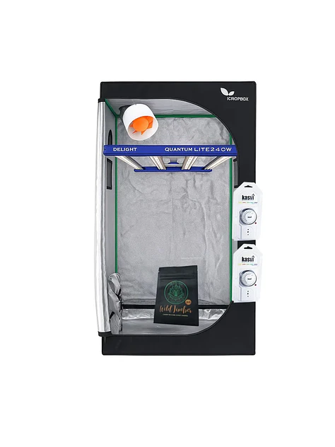 Kit Starter Quantum Lite Delight 80- 240W Fácil Armado 2